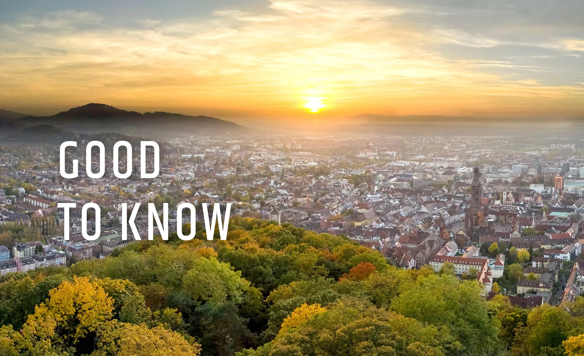 Appartements am Münster